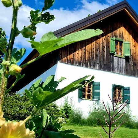 Estate Ana Guest House Ptuj Eksteriør bilde