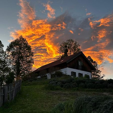 Estate Ana Guest House Ptuj Eksteriør bilde