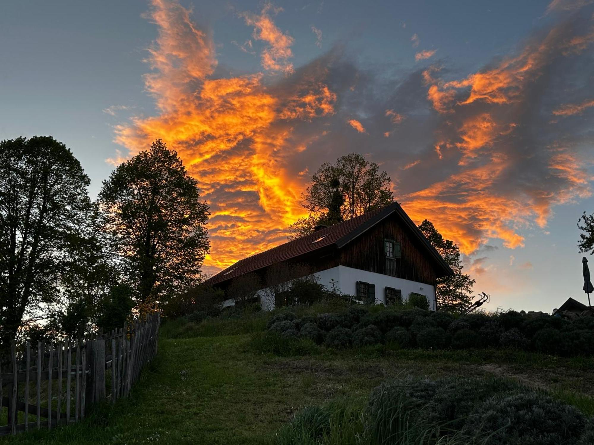 Estate Ana Guest House Ptuj Eksteriør bilde