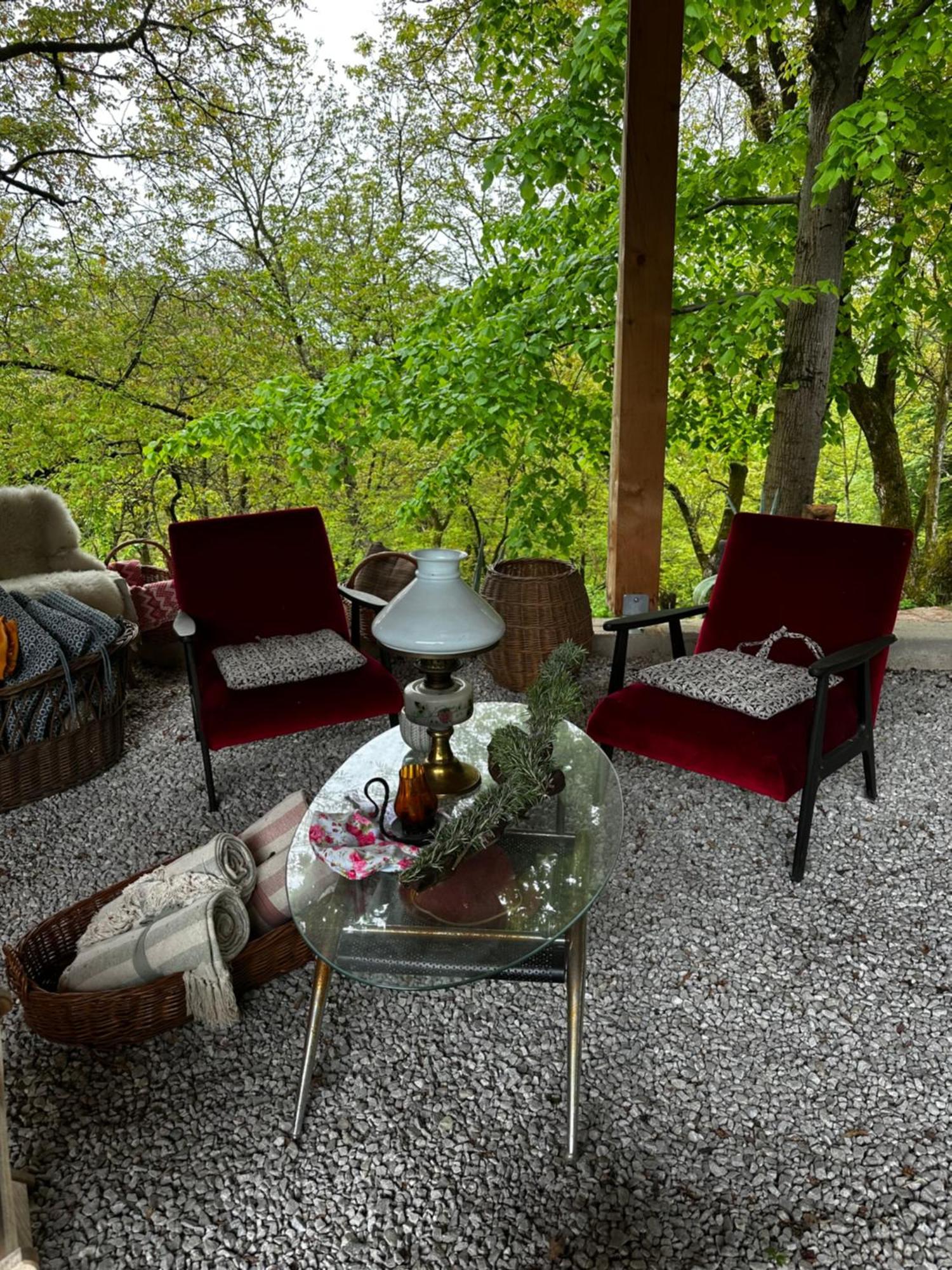 Estate Ana Guest House Ptuj Eksteriør bilde