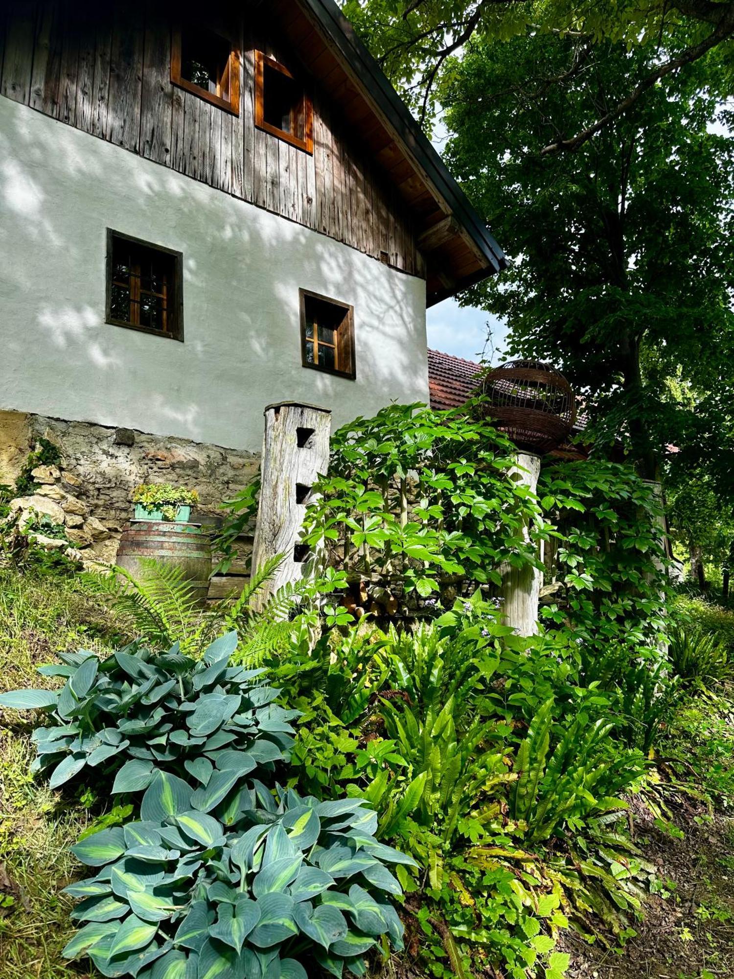 Estate Ana Guest House Ptuj Eksteriør bilde